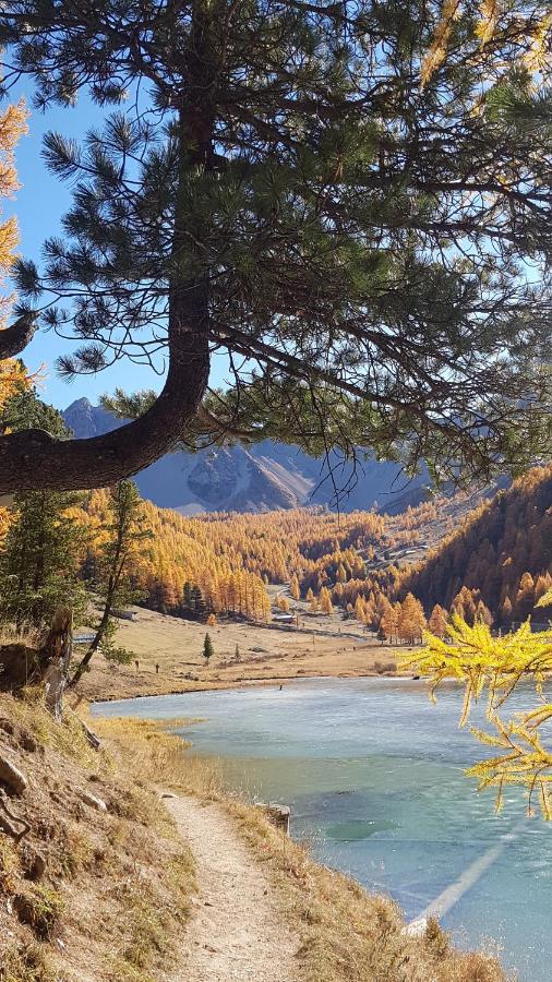 Le Repaire Du Vieux Cerf Apartamento Le Monêtier-les-Bains
