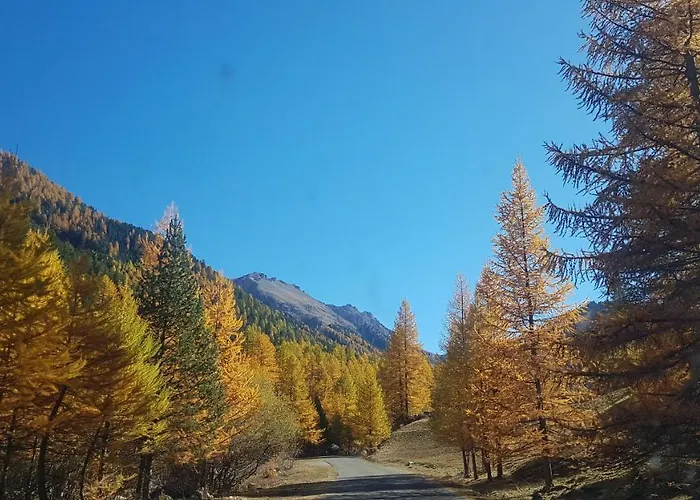 Le Repaire Du Vieux Cerf